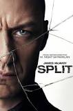 Image result for Split